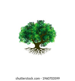 tree vector illustration. roots of banyan tree. mangrove plant