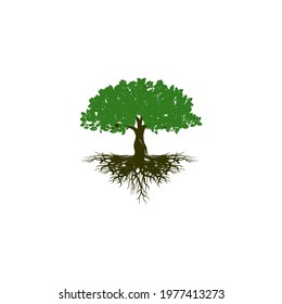 tree vector illustration. roots of banyan tree. mangrove plant