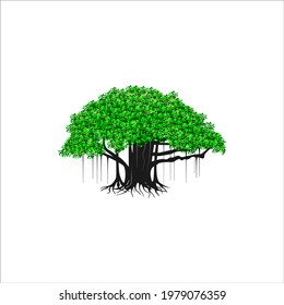 tree vector illustration. roots of banyan tree. mangrove plant