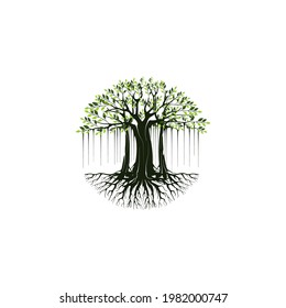 tree vector illustration. roots of banyan tree. mangrove plant