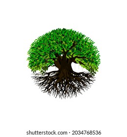 tree vector illustration. roots of banyan tree. mangrove plant