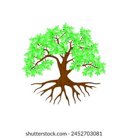 tree vector illustration. roots of banyan tree. mangrove plant