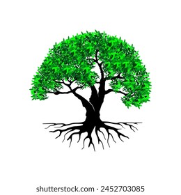 tree vector illustration. roots of banyan tree. mangrove plant