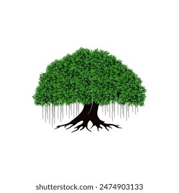 tree vector illustration. roots of banyan tree. mangrove plant