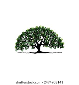 tree vector illustration. roots of banyan tree. mangrove plant