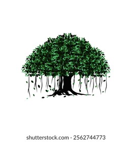tree vector illustration. roots of banyan tree. mangrove plant
