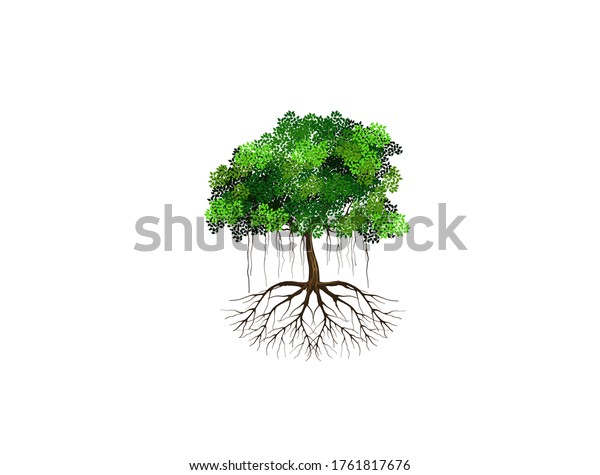 Tree Vector Illustration Roots Banyan Tree Stock Vector (Royalty Free ...