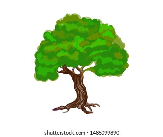 tree vector illustration. roots of oak tree. mangrove plant