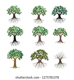 tree vector illustration set, various kinds of trees, can be made as a forest by arranging the trees