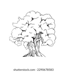 Baum. Vektorgrafik im Skizzenstil.