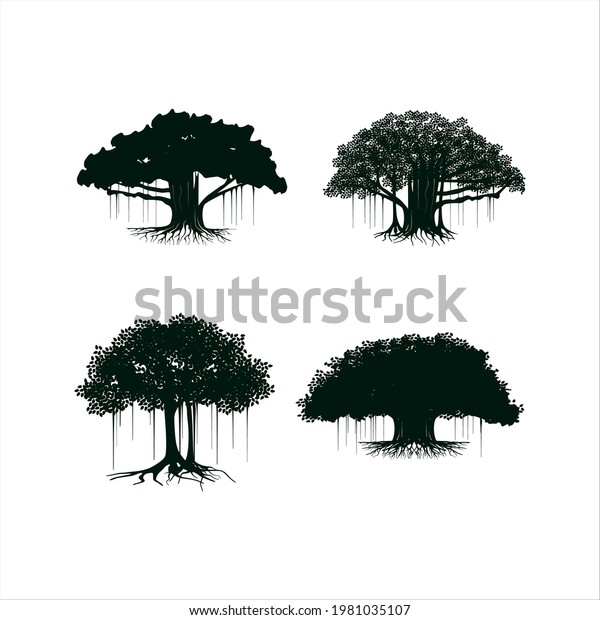 Tree vector illustrations, roots, banyan tree\
isolated on white\
background.