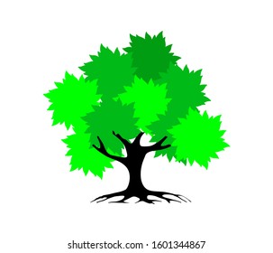 tree vector illustrations, roots, decorative tree VECTOR isolated