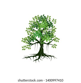 tree vector illustrations, roots, leaves, mangrove tree VECTOR isolated