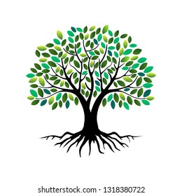 tree vector illustrations, roots, mangrove tree VECTOR isolated