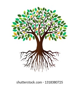 tree vector illustrations, roots, mangrove tree VECTOR isolated