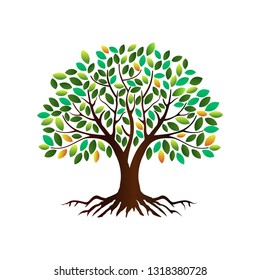 tree vector illustrations, roots, mangrove tree VECTOR isolated