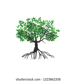 tree vector illustrations, roots, mangrove tree