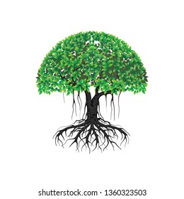 tree vector illustrations, roots, mangrove tree