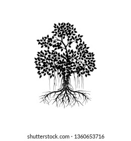 tree vector illustrations, roots, mangrove tree