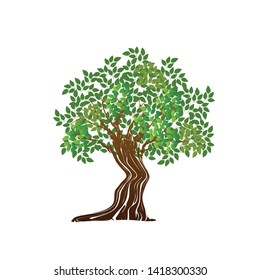 tree vector illustrations, roots, mangrove tree VECTOR isolated