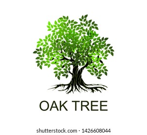 Tree Logo Templates Circular Shape Name Stock Vector (Royalty Free ...