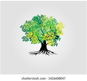 tree vector illustrations, roots, mangrove tree VECTOR isolated