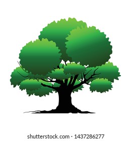tree vector illustrations, roots, mangrove tree VECTOR isolated