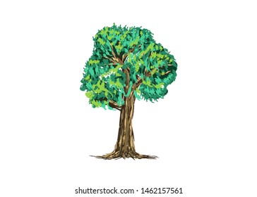 tree vector illustrations, roots, mangrove tree VECTOR isolated with rough painting style