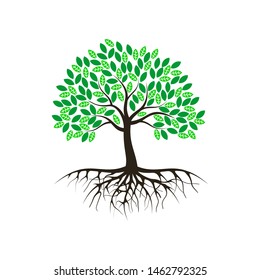 tree vector illustrations, roots, mangrove tree VECTOR isolated