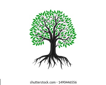 tree vector illustrations, roots, mangrove tree VECTOR isolated