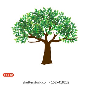 tree vector illustrations, roots, mangrove tree