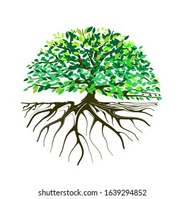 tree vector illustrations, roots, mangrove tree eps 10