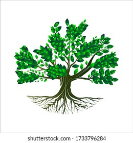 Tree Vector Illustrations Roots Mangrove Tree Stock Vector Royalty Free Shutterstock