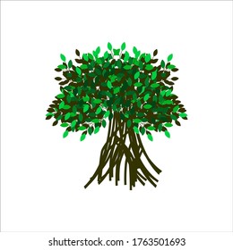 tree vector illustrations, roots, mangrove tree