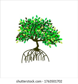 tree vector illustrations, roots, mangrove tree