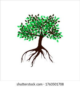 tree vector illustrations, roots, mangrove tree