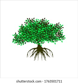 tree vector illustrations, roots, mangrove tree