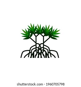 tree vector illustrations, roots, mangrove tree