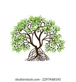 tree vector illustrations, roots, mangrove tree