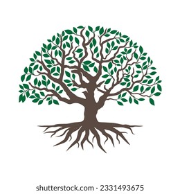 Tree vector illustrations roots mangrove tree vector isolated