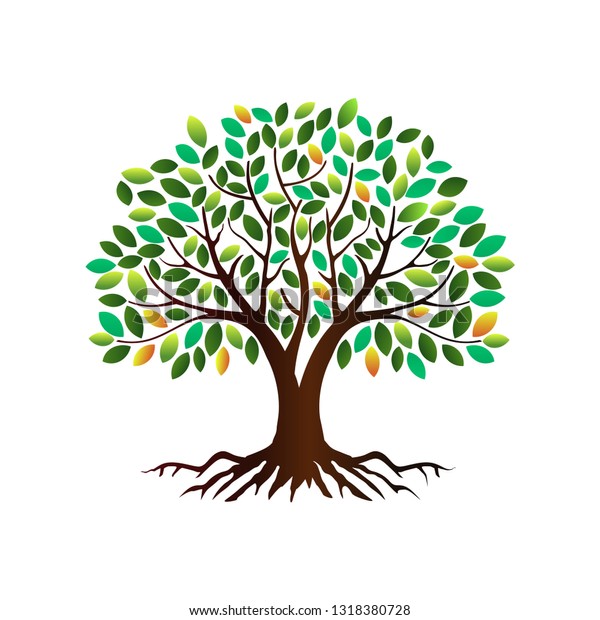 Vector De Stock Libre De Regalias Sobre Ilustraciones Vectoriales De Arbol Raices Arbol1318380728