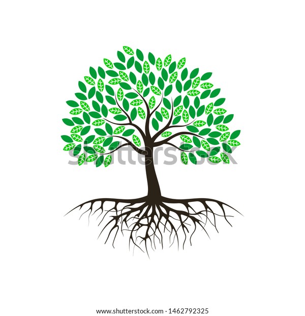 木のベクター画像イラスト 根 マングローブの木のベクター画像 のベクター画像素材 ロイヤリティフリー