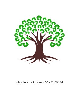 tree vector illustrations, roots, sakura tree VECTOR isolated