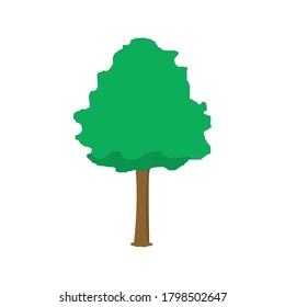 Tree Vector Image 2D Design