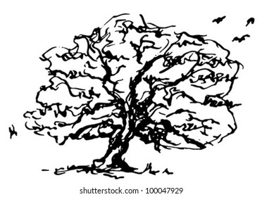 Tree vector ink design, over white, isolated