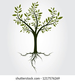 Tree vector isolated on gray background. Green tree for web site, poster, placard and wallpaper. Vector illustration