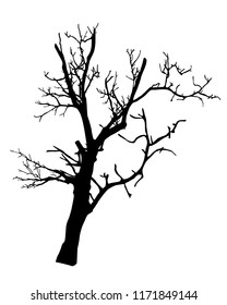 Tree vector isolated on white background. EPS10.