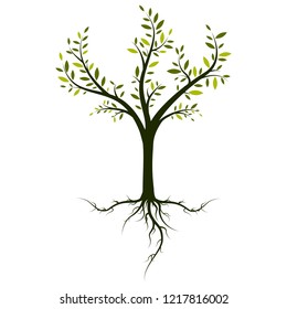 Tree vector isolated on white background. Green tree for web site, poster, placard and wallpaper. Vector illustration