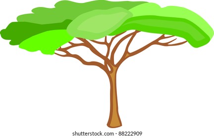Tree vector isolated on white