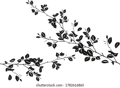 Tree Branches Leaves Berries Fruit Trees Stock Vector (Royalty Free ...